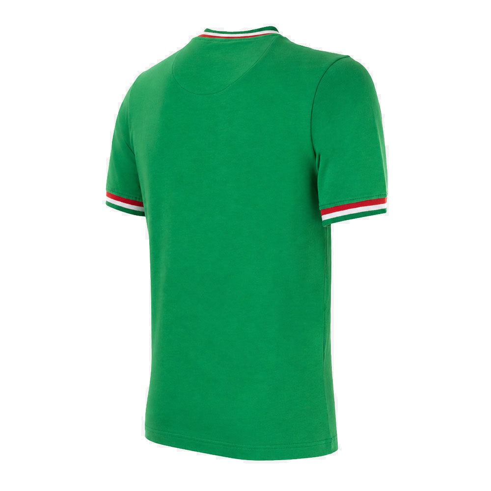 COPA Mexico Pele 1980s Retro Football Shirt, back view